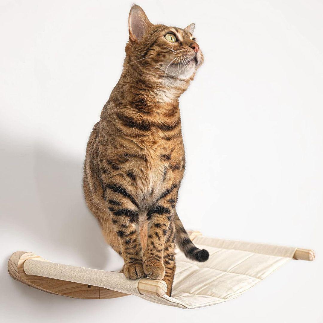 キャットウォーク&ハンモック 壁付け 猫用 階段 インテリア