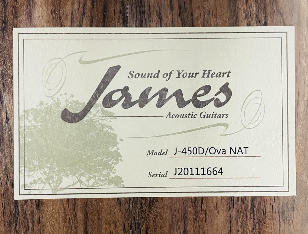 極美品 James J-450D/Ova NATアコースティックギター【整備品】