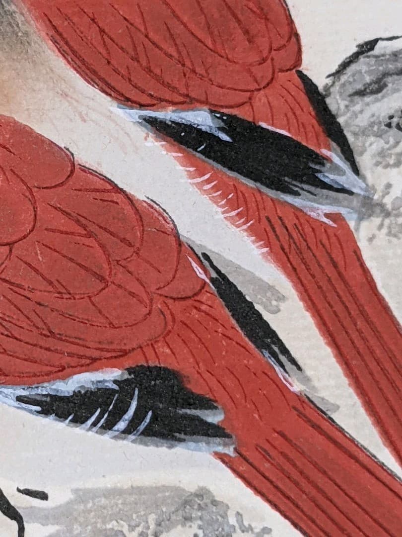 ♦中国 梅花尾長鳥 書画骨董 水墨画 絵画 骨董品 コレクション アンティーク