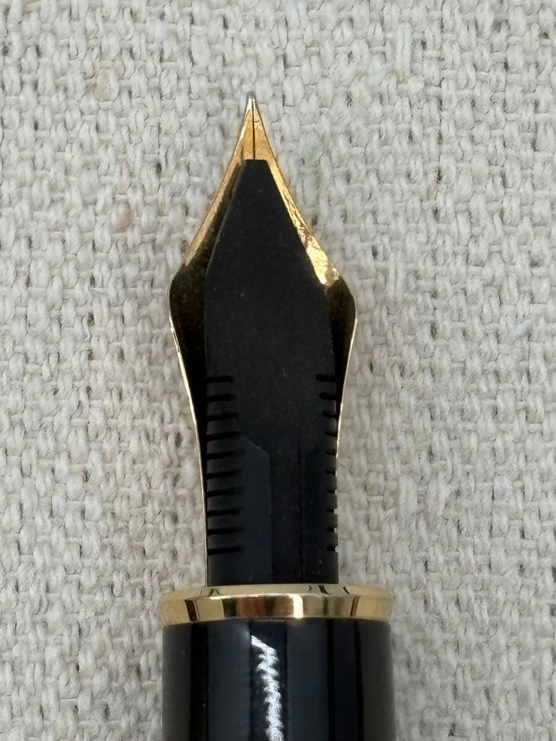 PLATINUM プラチナ万年筆 #3776 センチュリーべっ甲柄18Kペン先