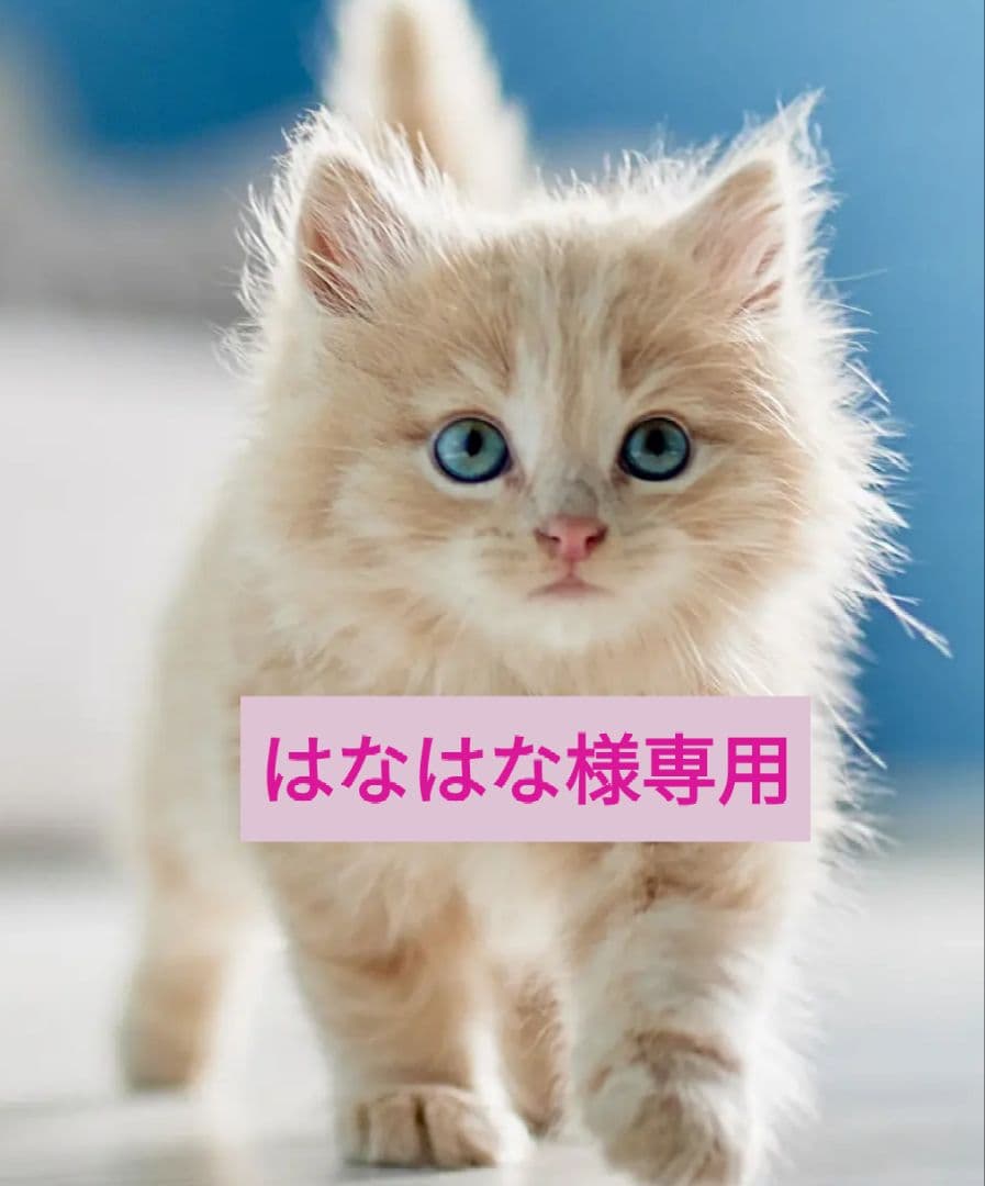 はなはな　シュプレモ　成猫用 チキン&サーモン　白身魚&チキン