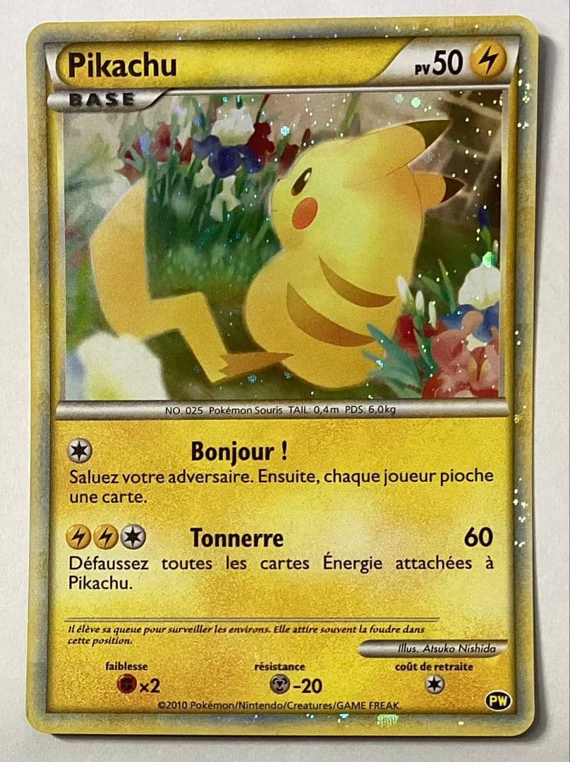 ピカチュウ　ワールド