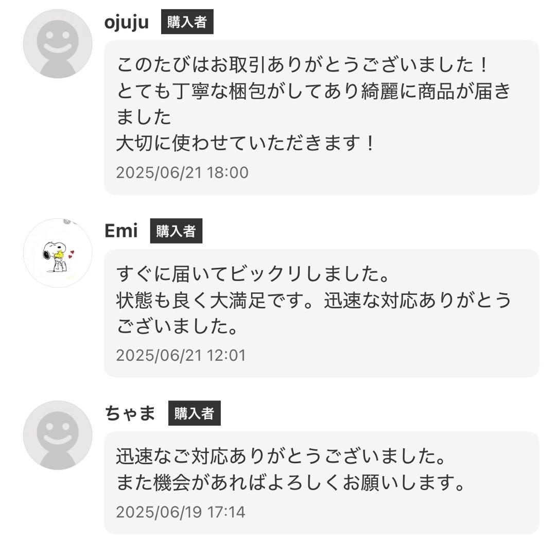 【超軽量】Everio JVC GZ-VX770-S コンパクトビデオカメラ