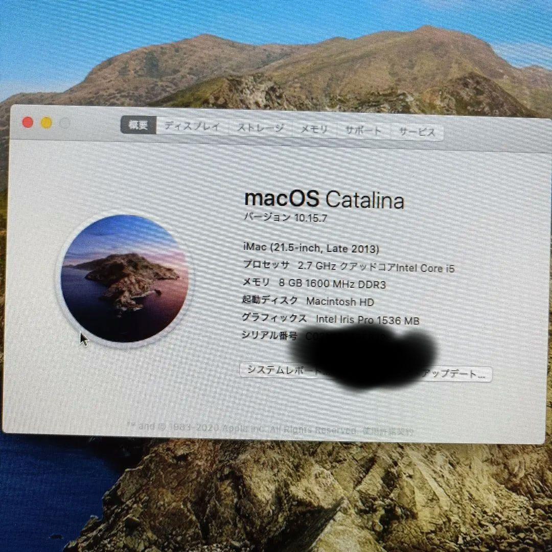 美品 初期化済 21.5 Apple iMac Catalina　2013