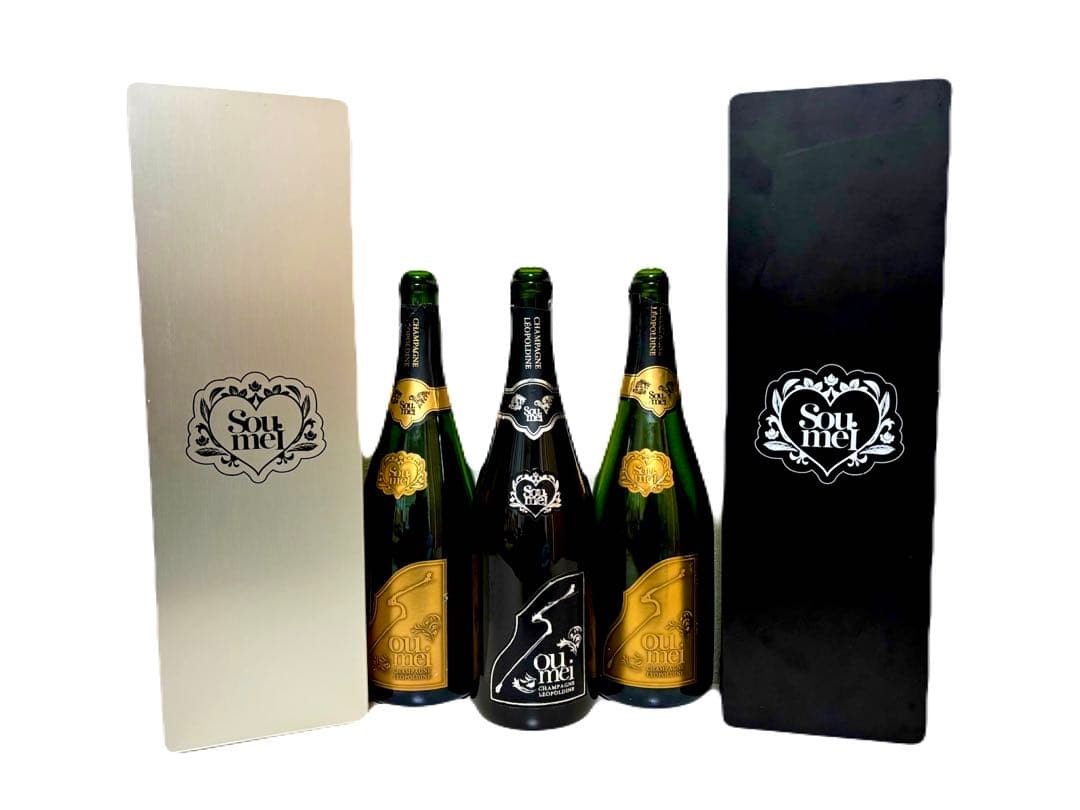 空箱　ソウメイ　2箱セット　バラ売り可　Soumei 収納ボックス　空瓶付