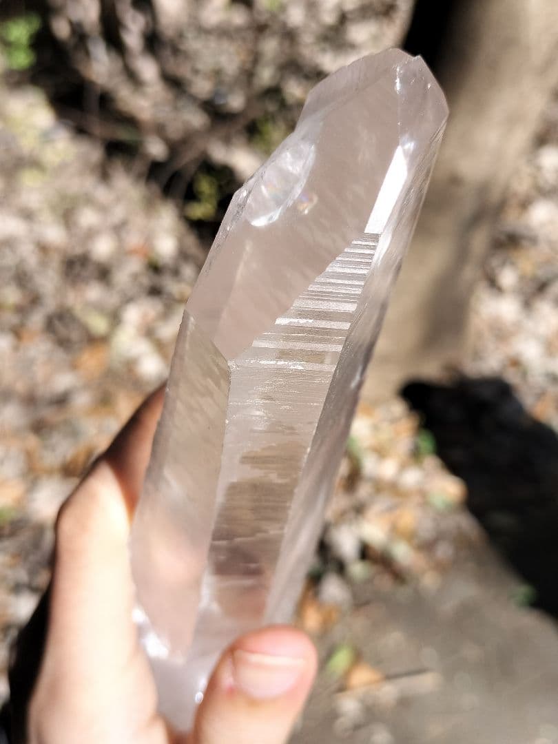 【素晴らしい共鳴】レムリアンシード