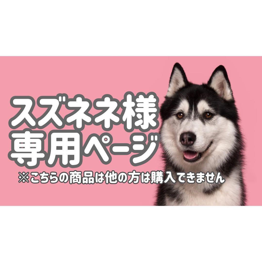 FB2◯● スズネネページ●◯