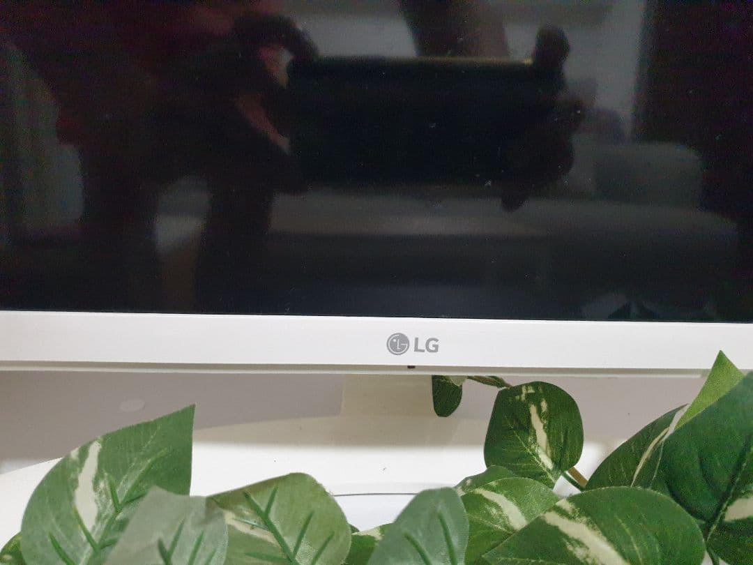 【大阪市上新庄直接可能】LG 31.5インチ液晶モニター、直接15,000円