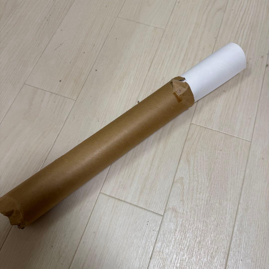 ハイスタ　新潟　ポスター