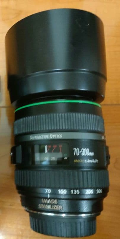 レンズ(ズーム) Canon EF 70-300mm F4.5-5.6 DO IS