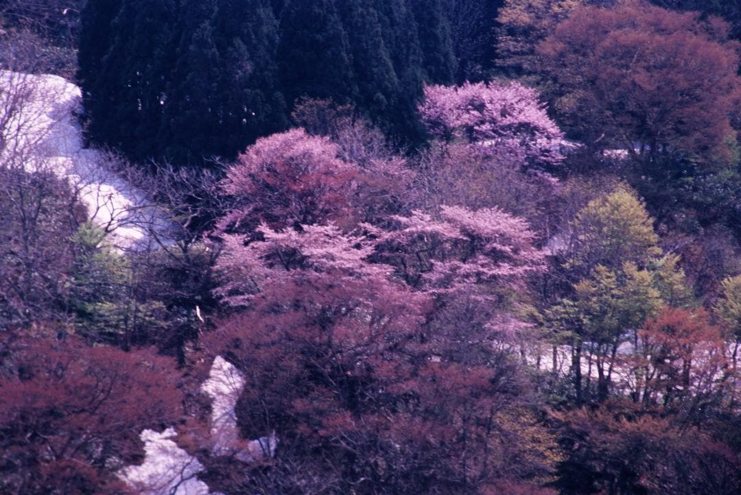 “”アナログ“”　自然風景写真（フレーム付き）　　　　フィルム撮影・銀塩プリント