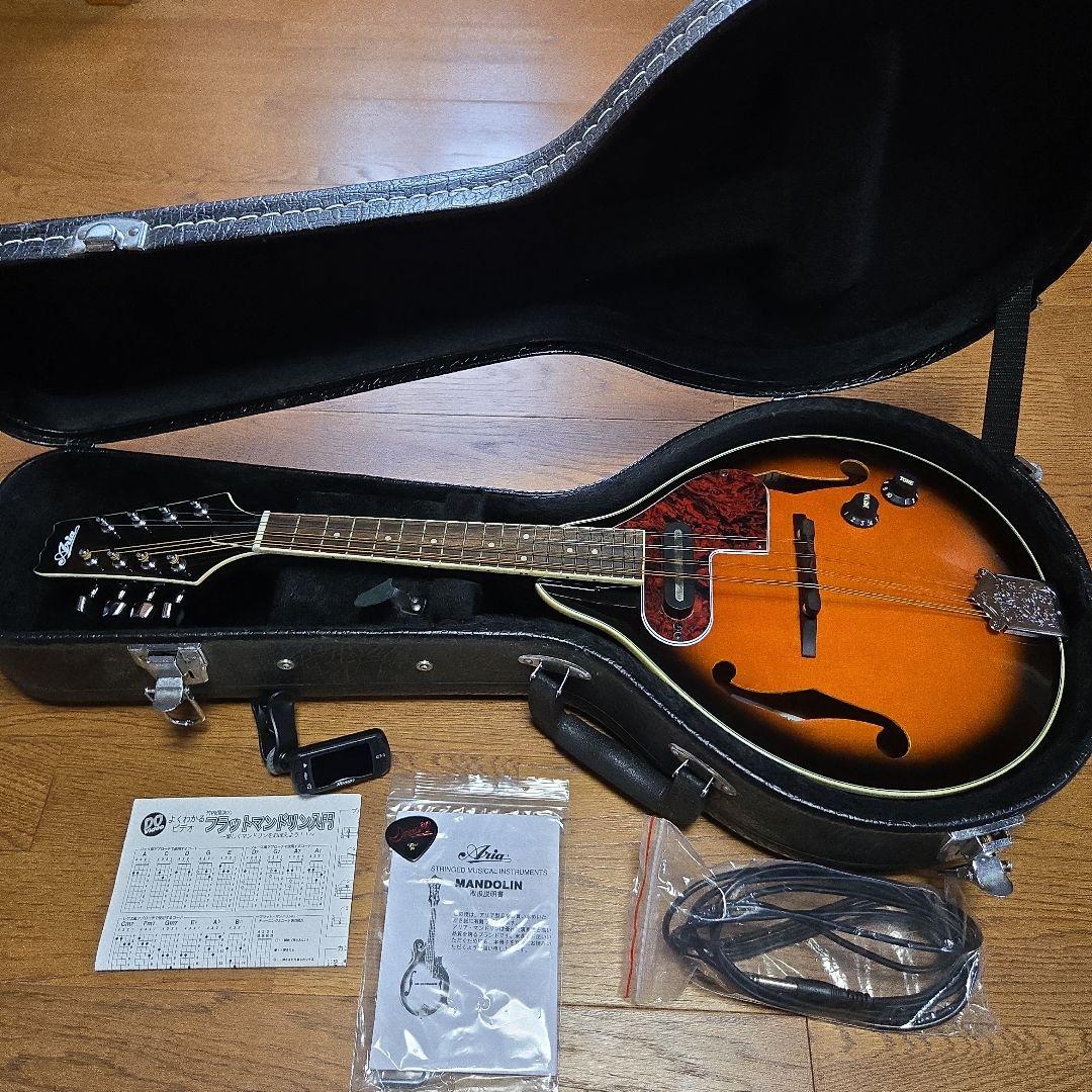 フラットマンドリン　ケース　コード付き