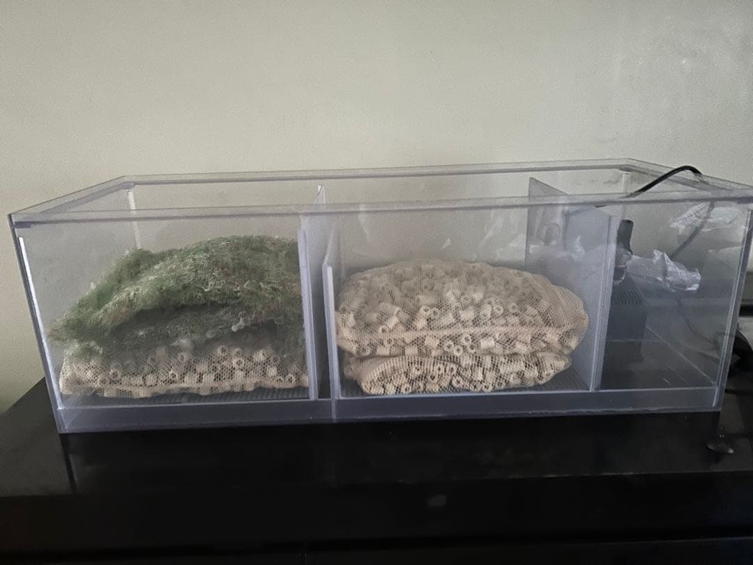 引き取り限定　オーバーフロー濾過層　900.350.300