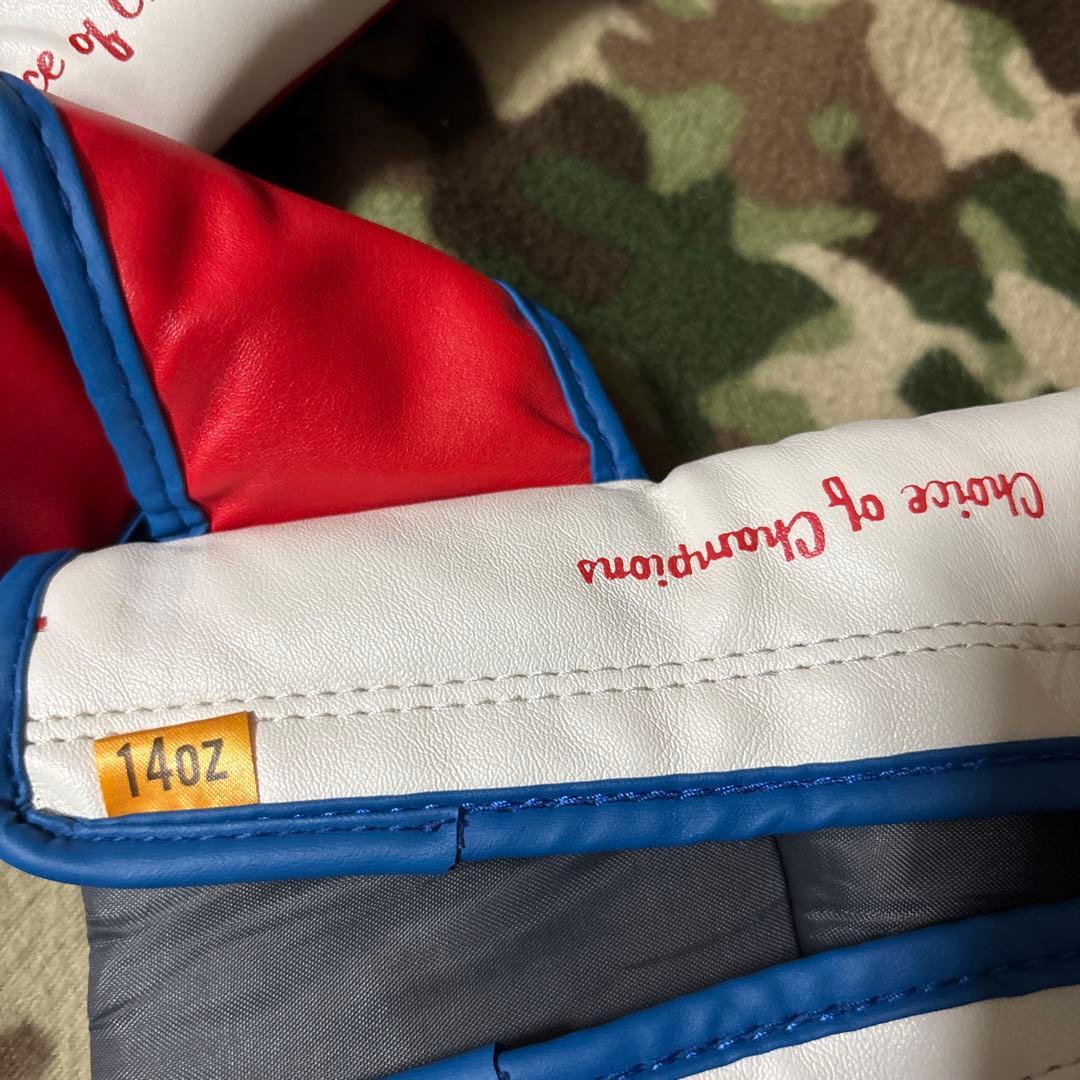 EVER LAST エバーラスト　グローブ　14oz 送料無料