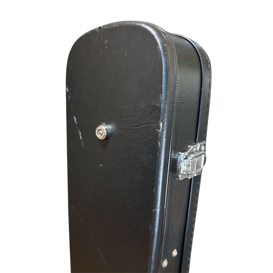 Epiphone Riviera Ⅱ Noel Gallagher エピフォン