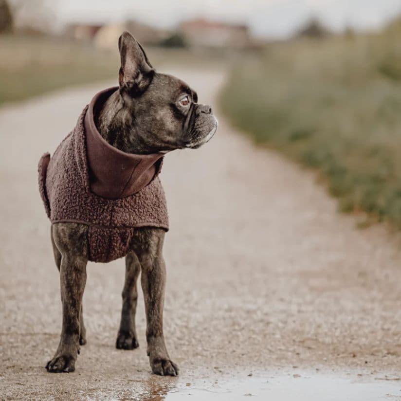 Cloud7 クラウド7 ゴットランド セーター ダークブラウン Size5