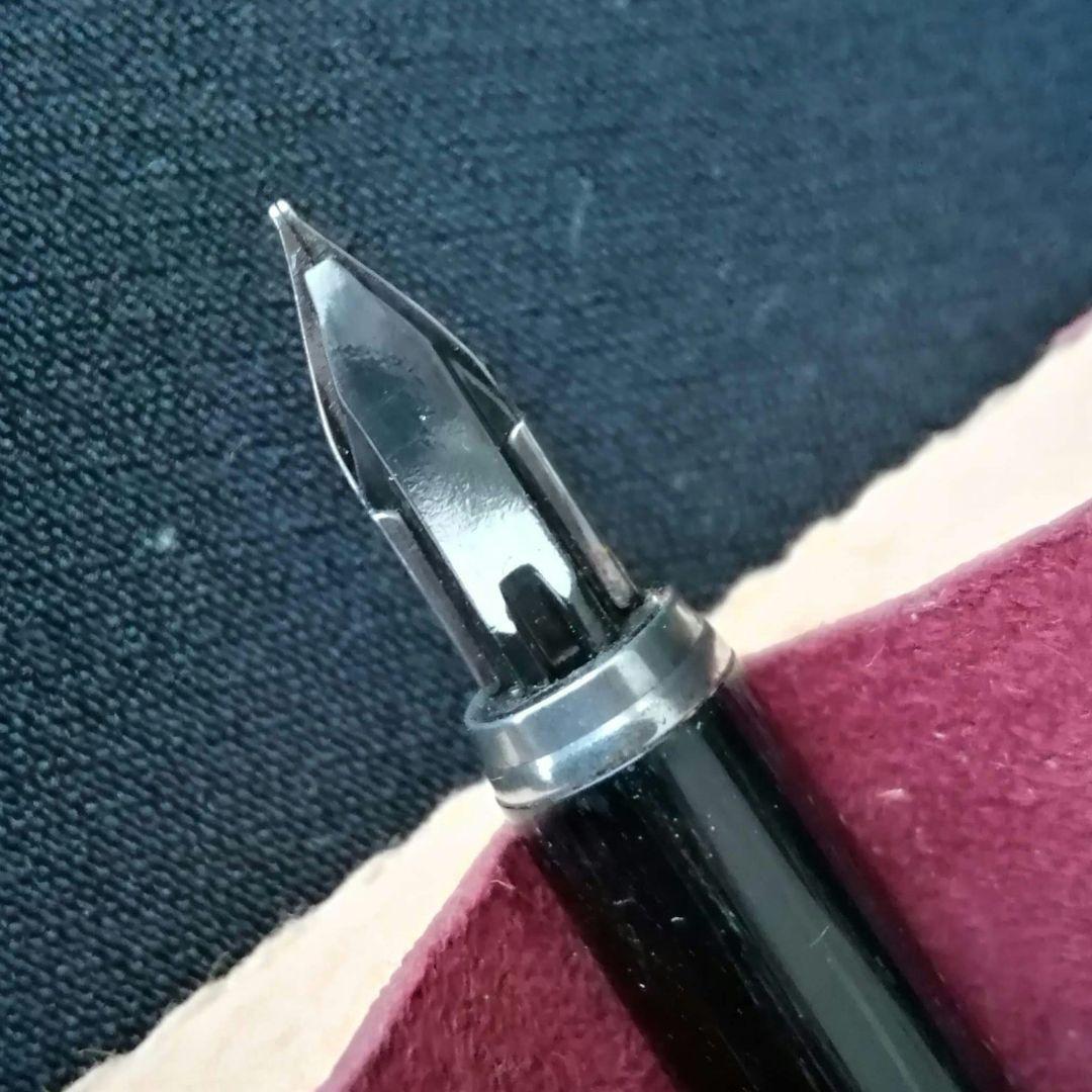 逸品　プラチナリビエール銀河　スターリングシルバーに本金焼き付け万年筆　金銀触刻