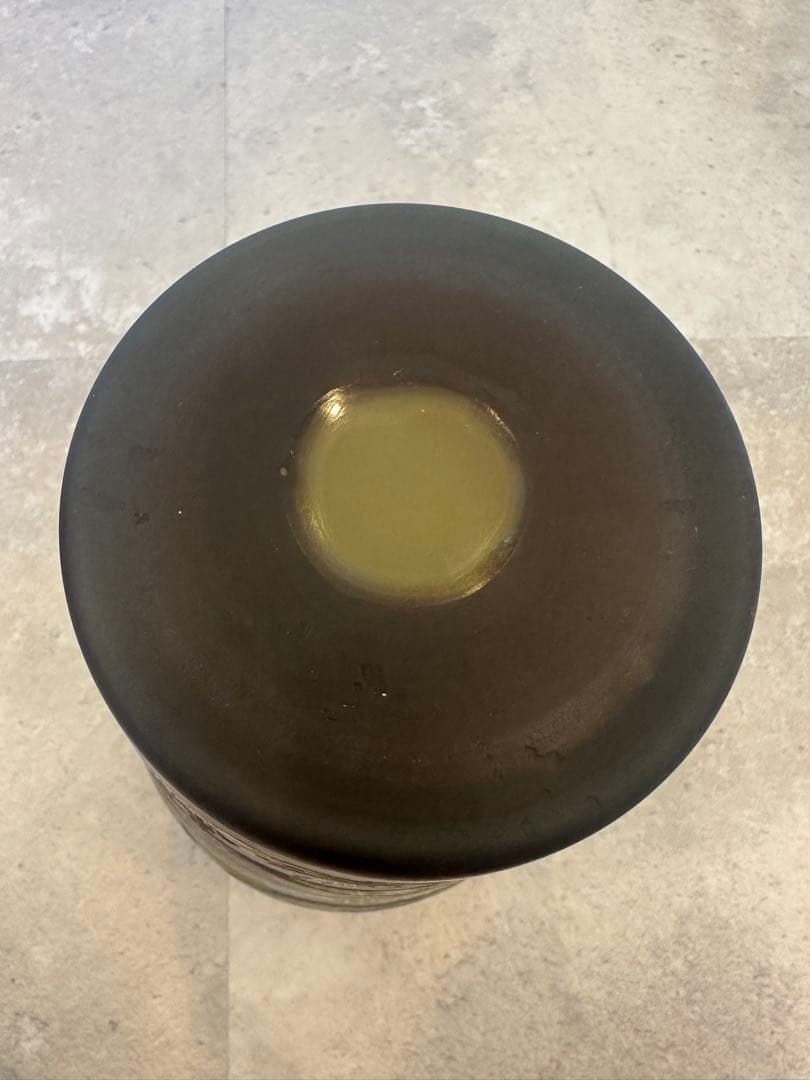 ルーマニア　チップガレ工房　TIP Galle 風景文花瓶　エミール　ガレ　箱入