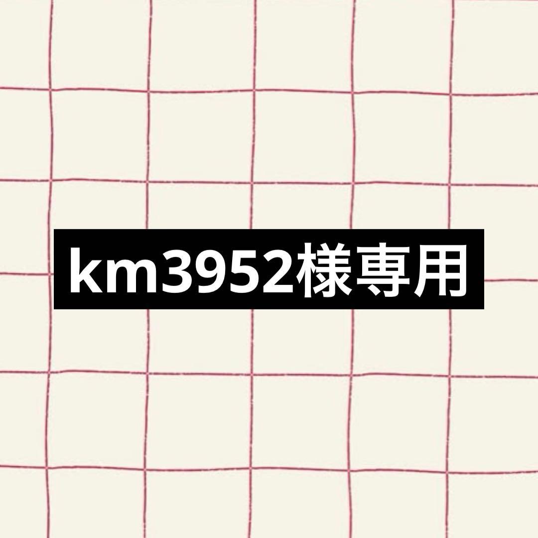 その他 km3952
