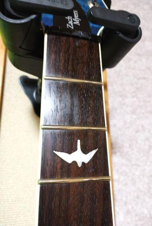 PRS SE ZACH MYERS　ザック・マイヤーズ モデル