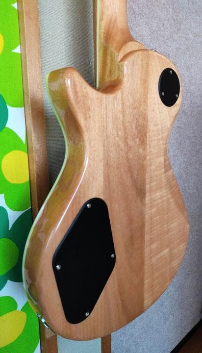 PRS SE ZACH MYERS　ザック・マイヤーズ モデル