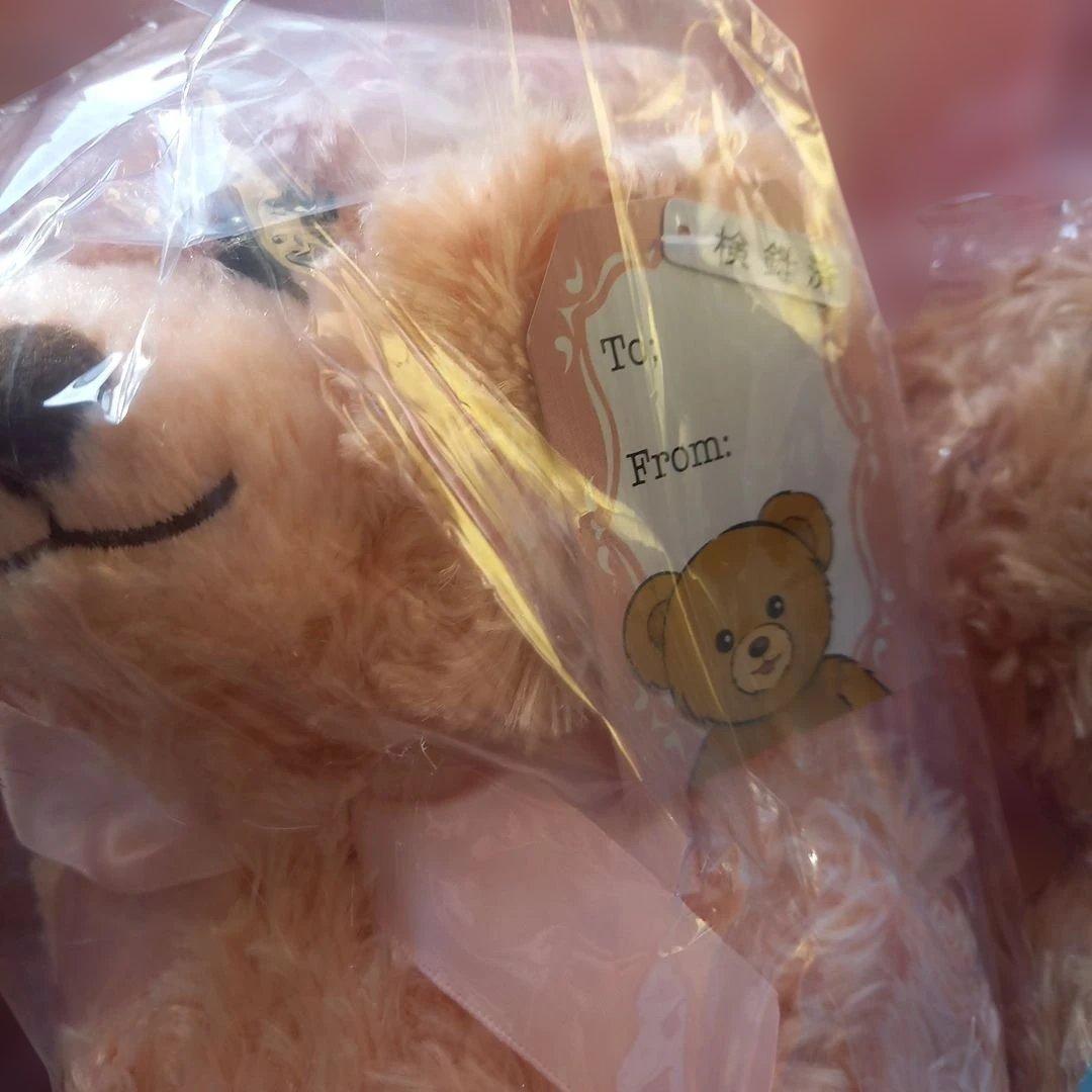 ハニーテディベア★ファミリー★ベビー、ガール、ボーイぬいぐるみ&バックパック