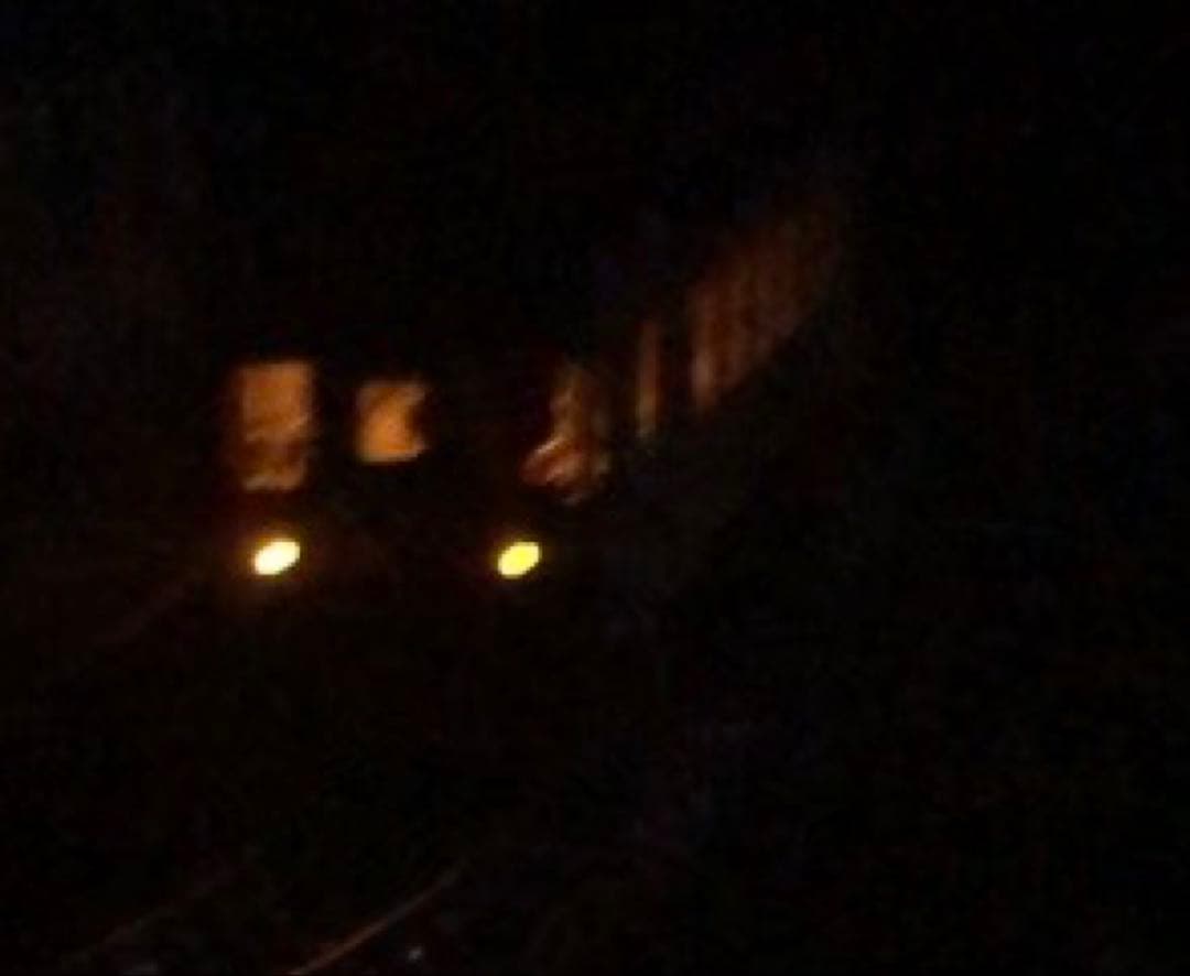 TOMIX 樽見鉄道 ハイモ295-315形