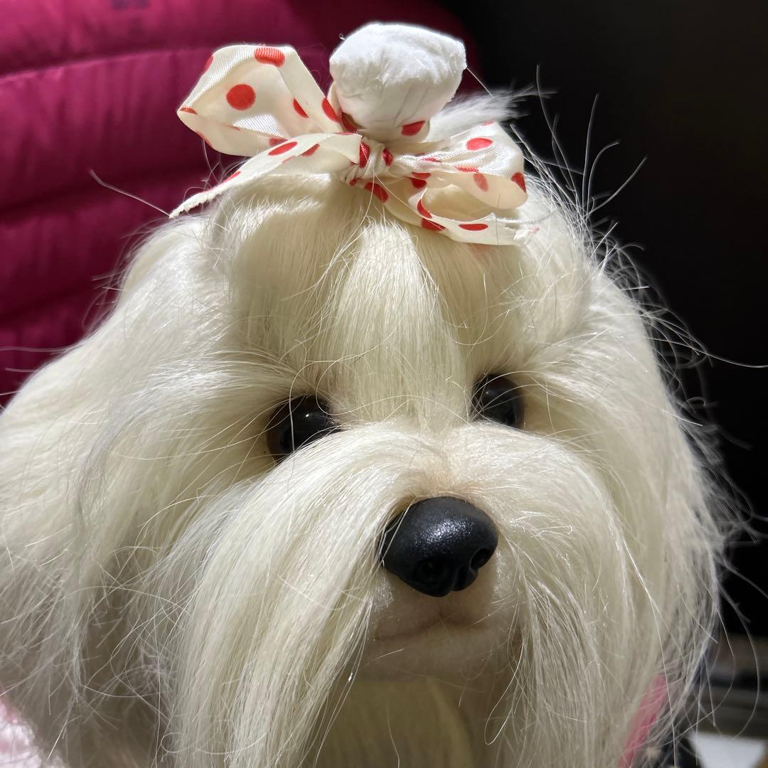 ドレッシーペット　ぬいぐるみ　犬　マルチーズ　タグ付き❣️
