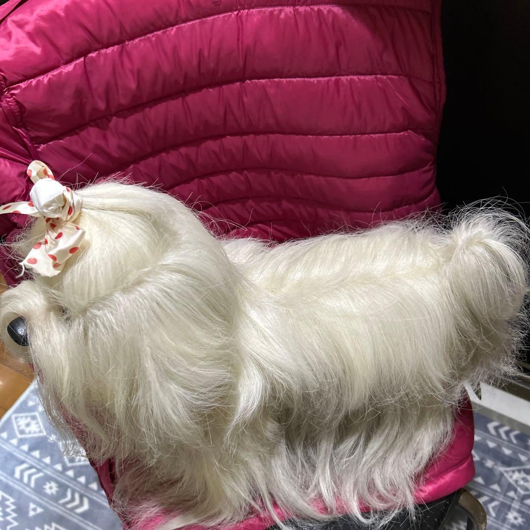 ドレッシーペット　ぬいぐるみ　犬　マルチーズ　タグ付き❣️
