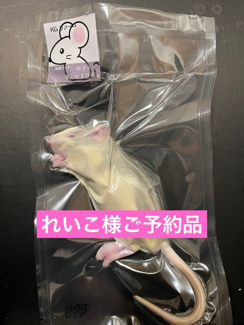 ☆冷凍ラット☆ れいこ様ご予約品