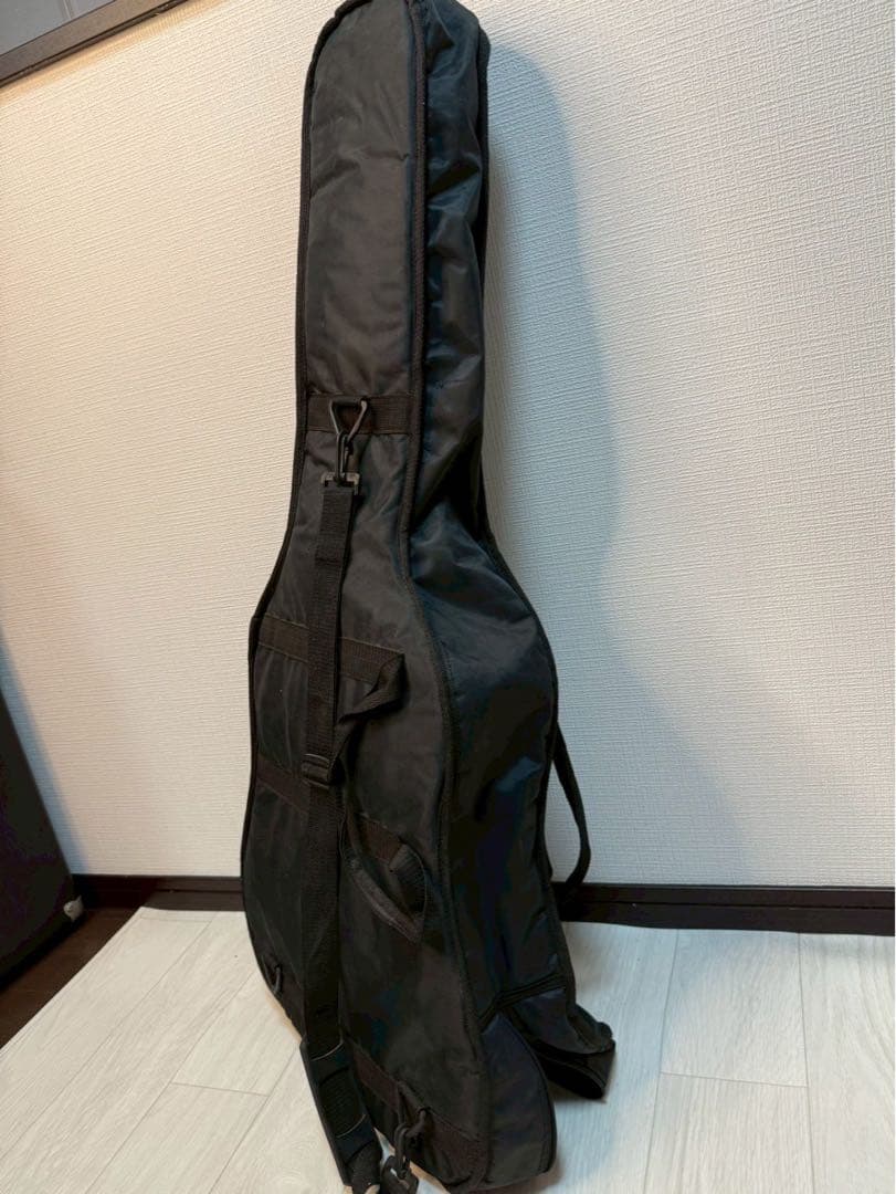 Pro Martin アコースティックギター ギターケース付き