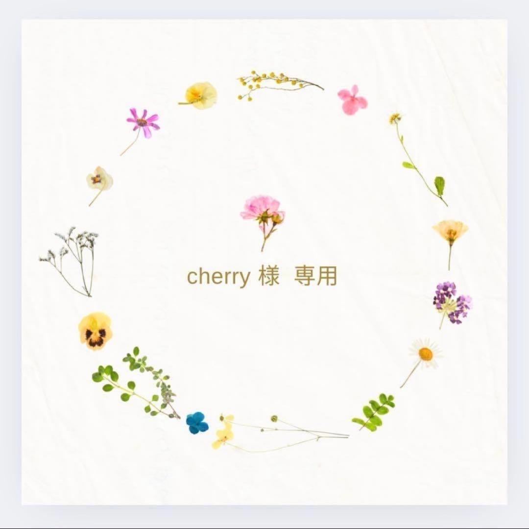 Cherry 情景レジン　キーホルダー　ネックレス