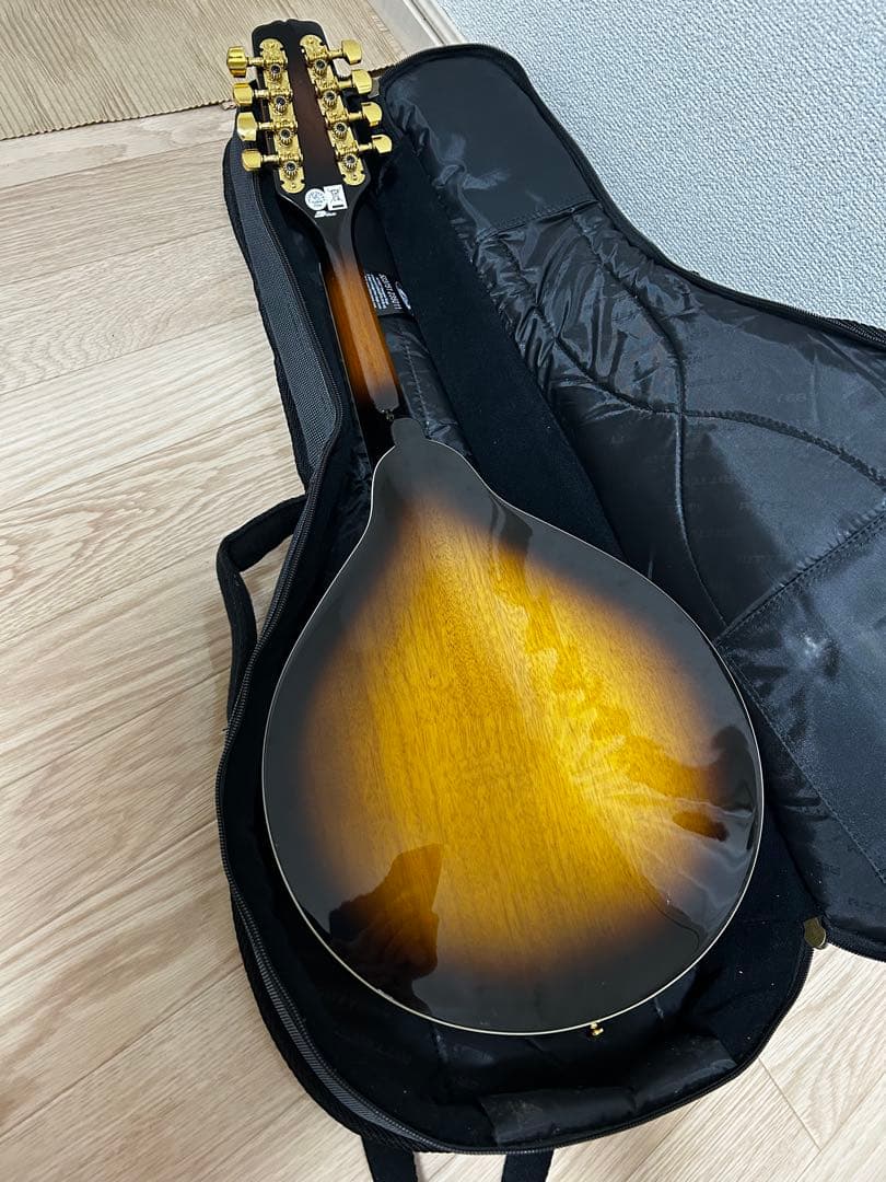 か*ま様 Epiphone EF30ASGH1 マンドリン ケース付