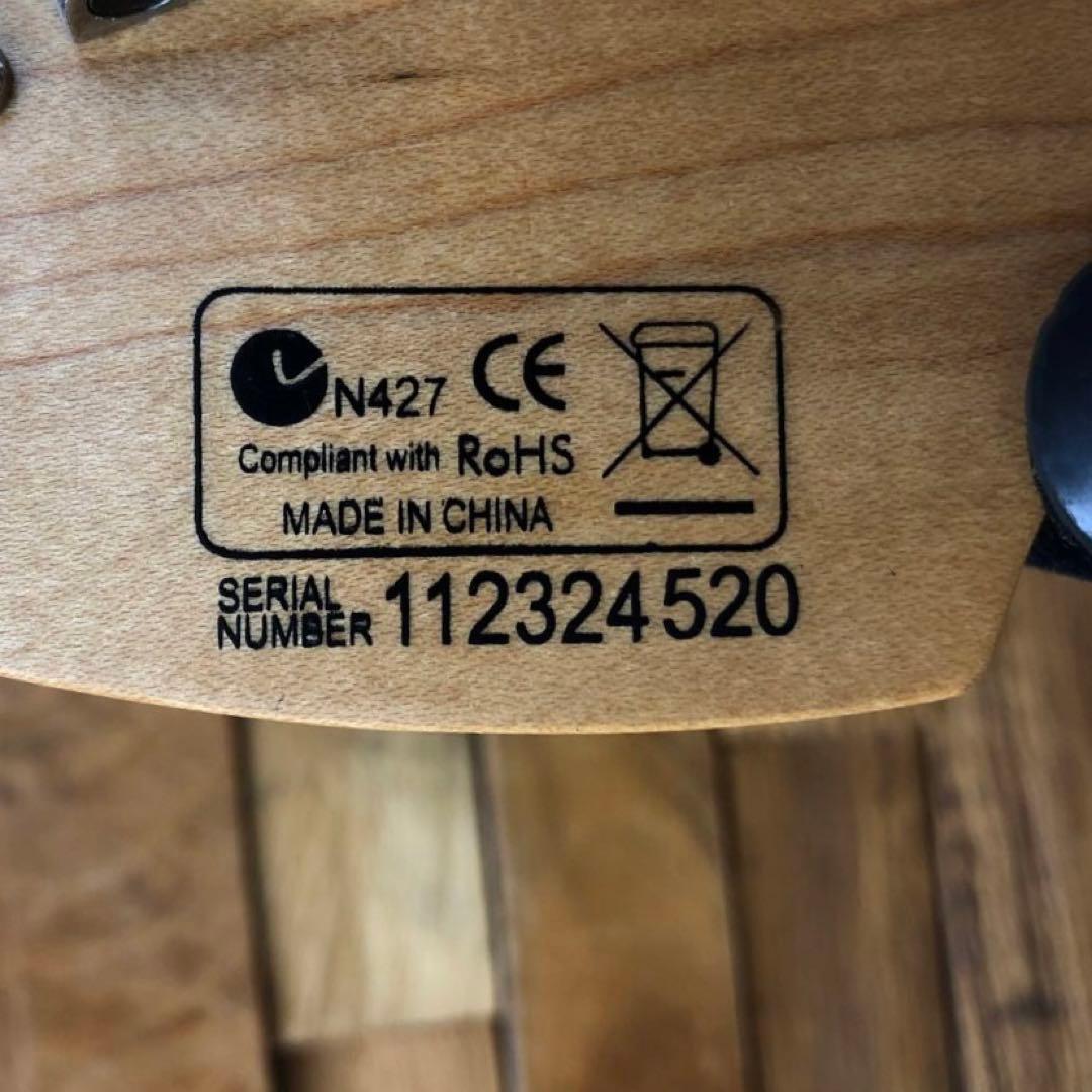 Elioth S305 エレキギター ストラトタイプ　エリオス