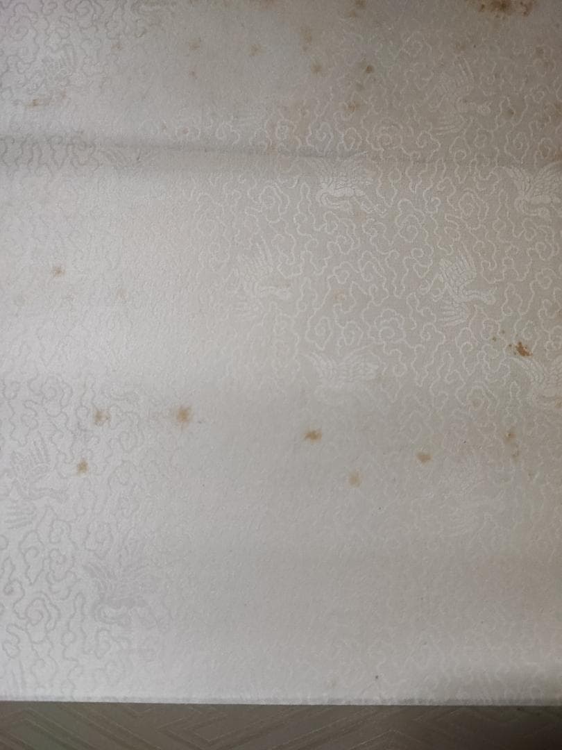 手描き　掛け軸　中国の画