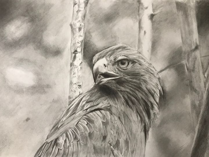 値下げしました！オリジナルのペットの鉛筆画