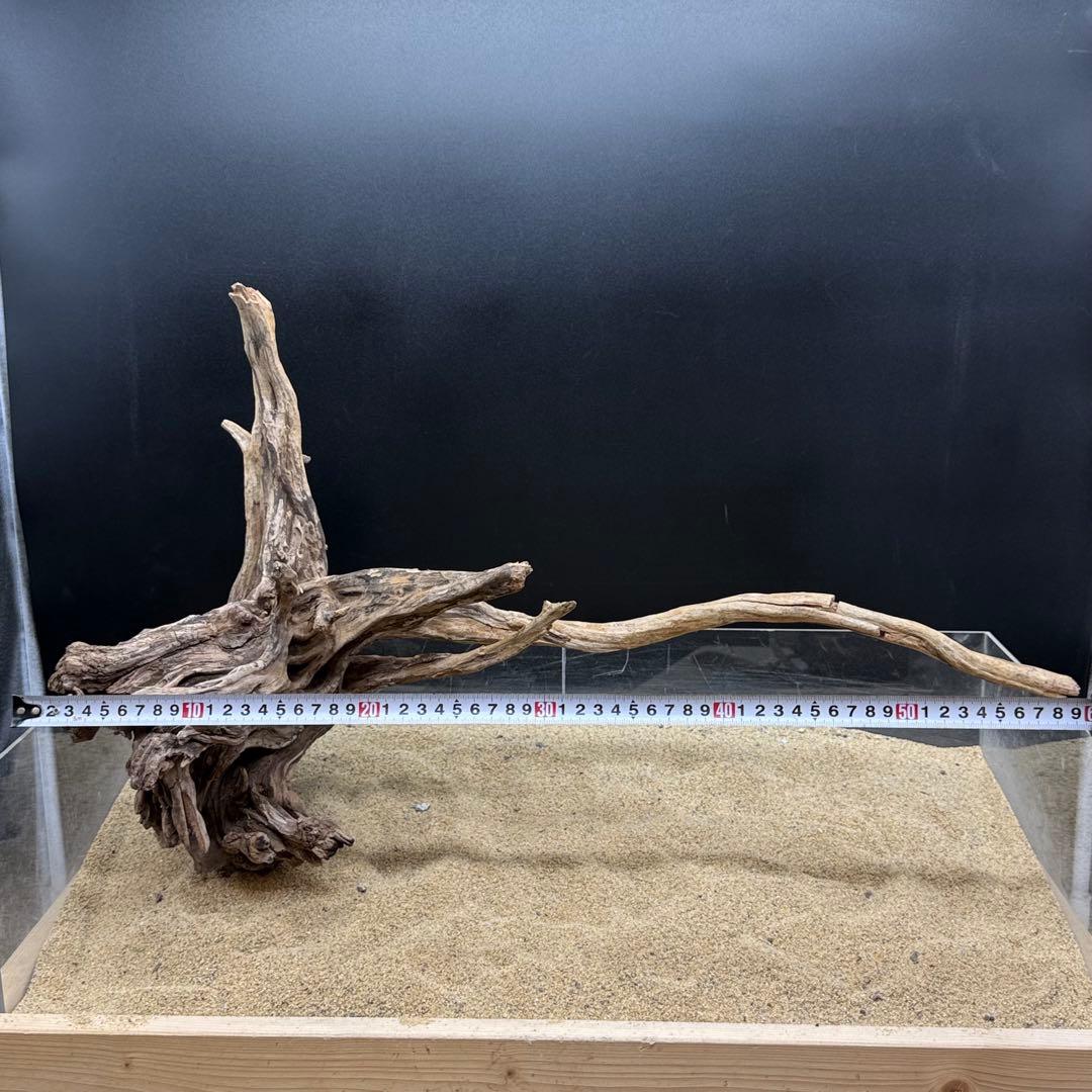 MSRW-6958 特大天然流木1点物　スリムウッド　アクアリウム