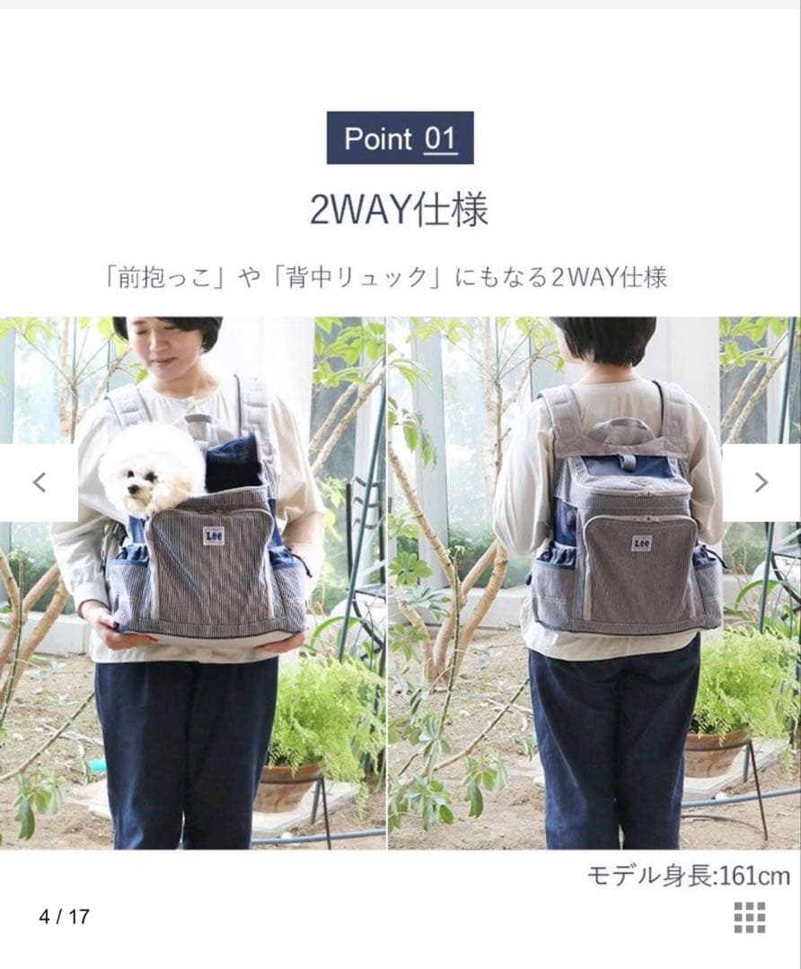 Lee ストライプ キャリーバッグ　【美品】