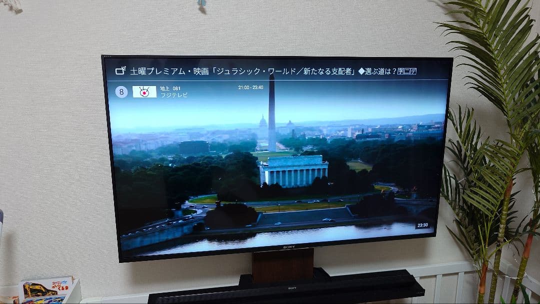 【saru214専用】液晶4Kテレビ KJ-49X8300D★直接引取り歓迎★