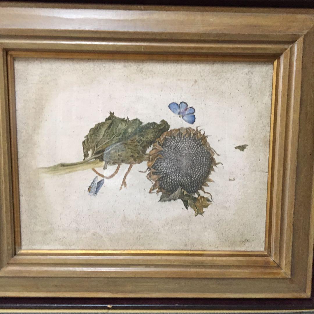 織田 阿奴 作  水彩画