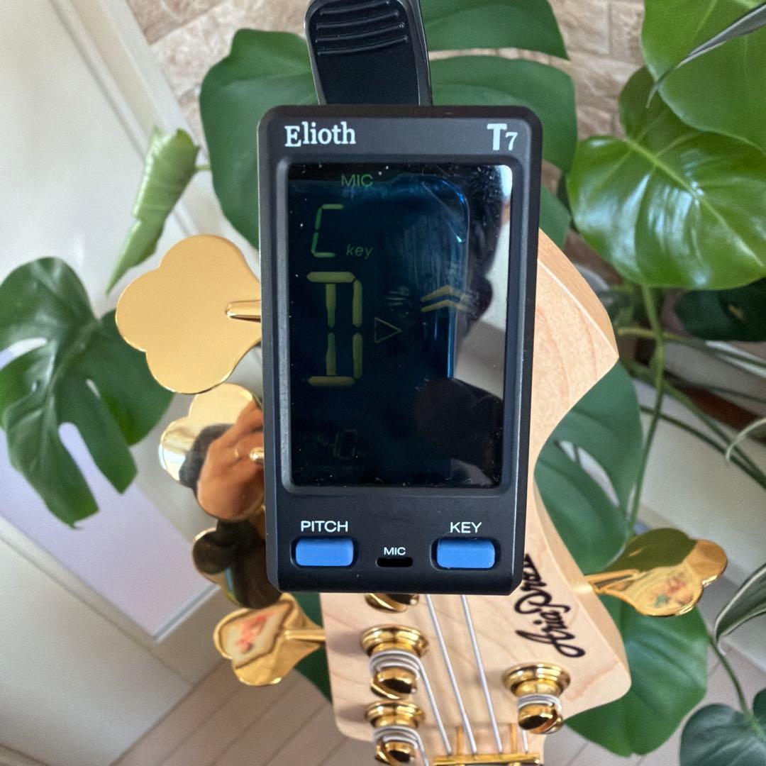 ❤️AriaProII RSB-42AR 5弦ベース 美品 チューナーおまけ