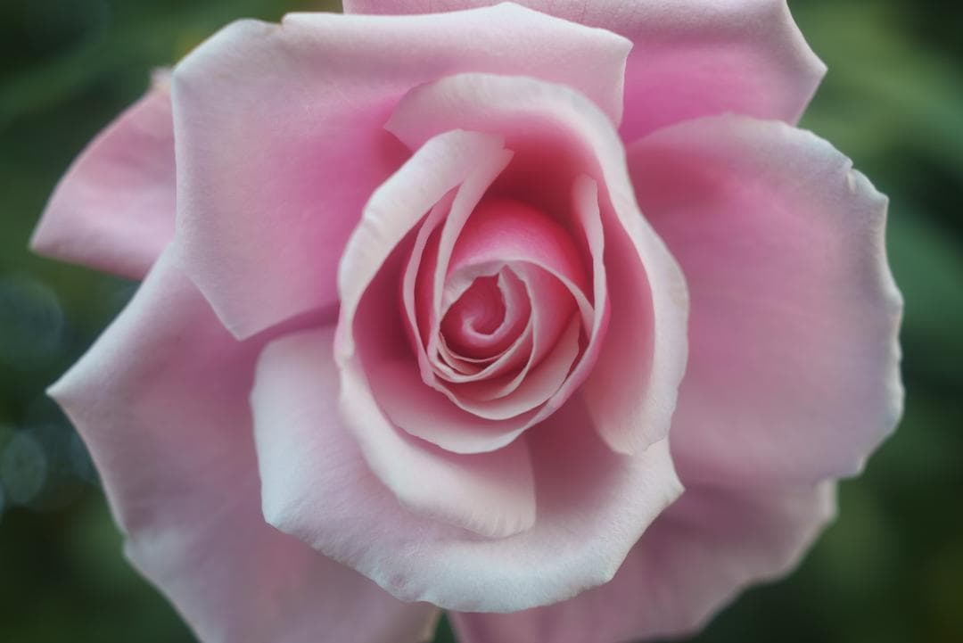 希少！全周ニッケル Elmar 50mm F3.5 オールドレンズ