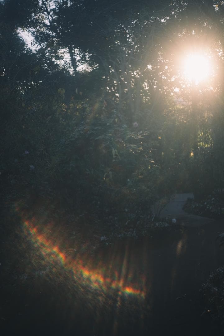 希少！全周ニッケル Elmar 50mm F3.5 オールドレンズ