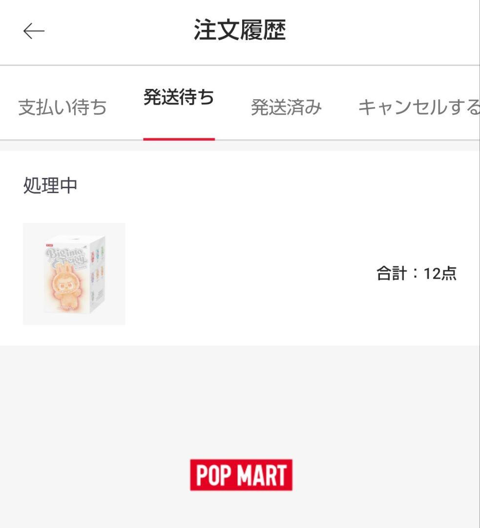 【クリスマスに間に合います！正規品ラブブ】Big into Energy 6体