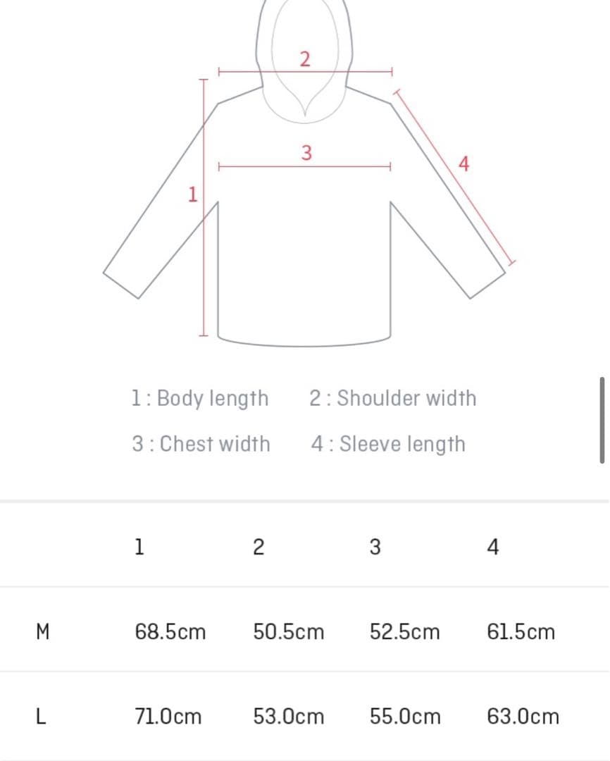 TXT HOODIE パーカー クローバー 希少品 Lサイズ