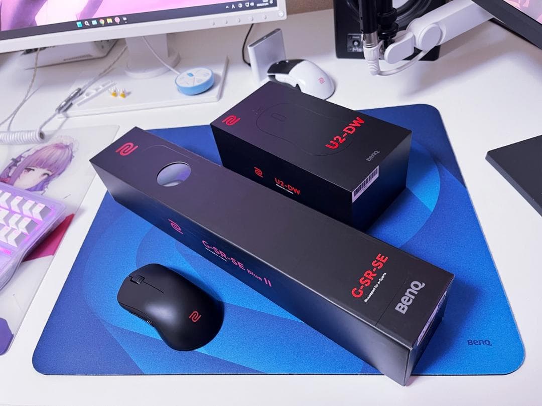 その他 ZOWE G-SR-SE II & ZOWIE U2-DW