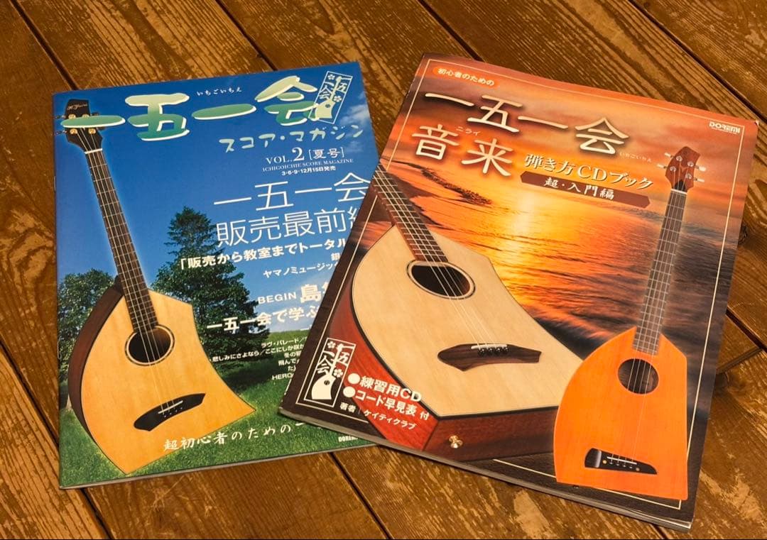 極美品　ケーヤイリ　一五一会ギター