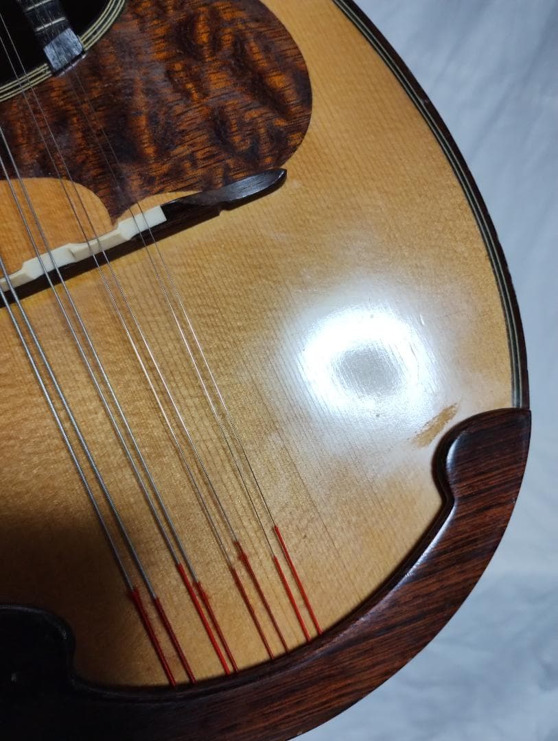 スズキ　マンドリン M-30