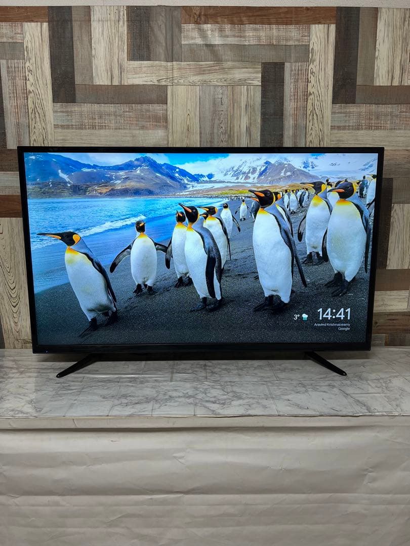 エリックさん専用全国送料込アグレクション48型液晶テレビWチューナー外付HDD録