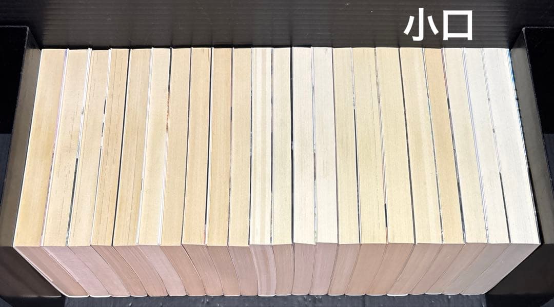 菊地秀行 D 吸血鬼ハンター 8-19巻 全22冊